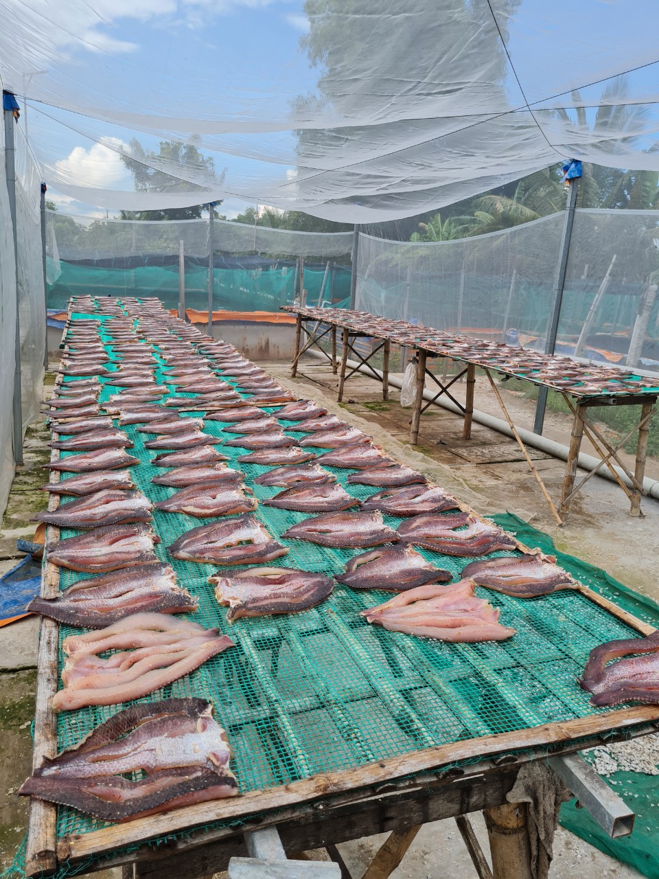 Khô cá lóc Kim Loan – Trang giới thiệu sản phẩm Chợ Mới – An Giang