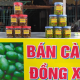 CA NA DONG XUC